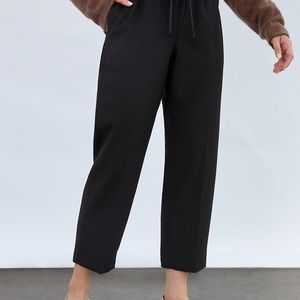 Aritzia Babaton Jimmy Pant Cropped M
